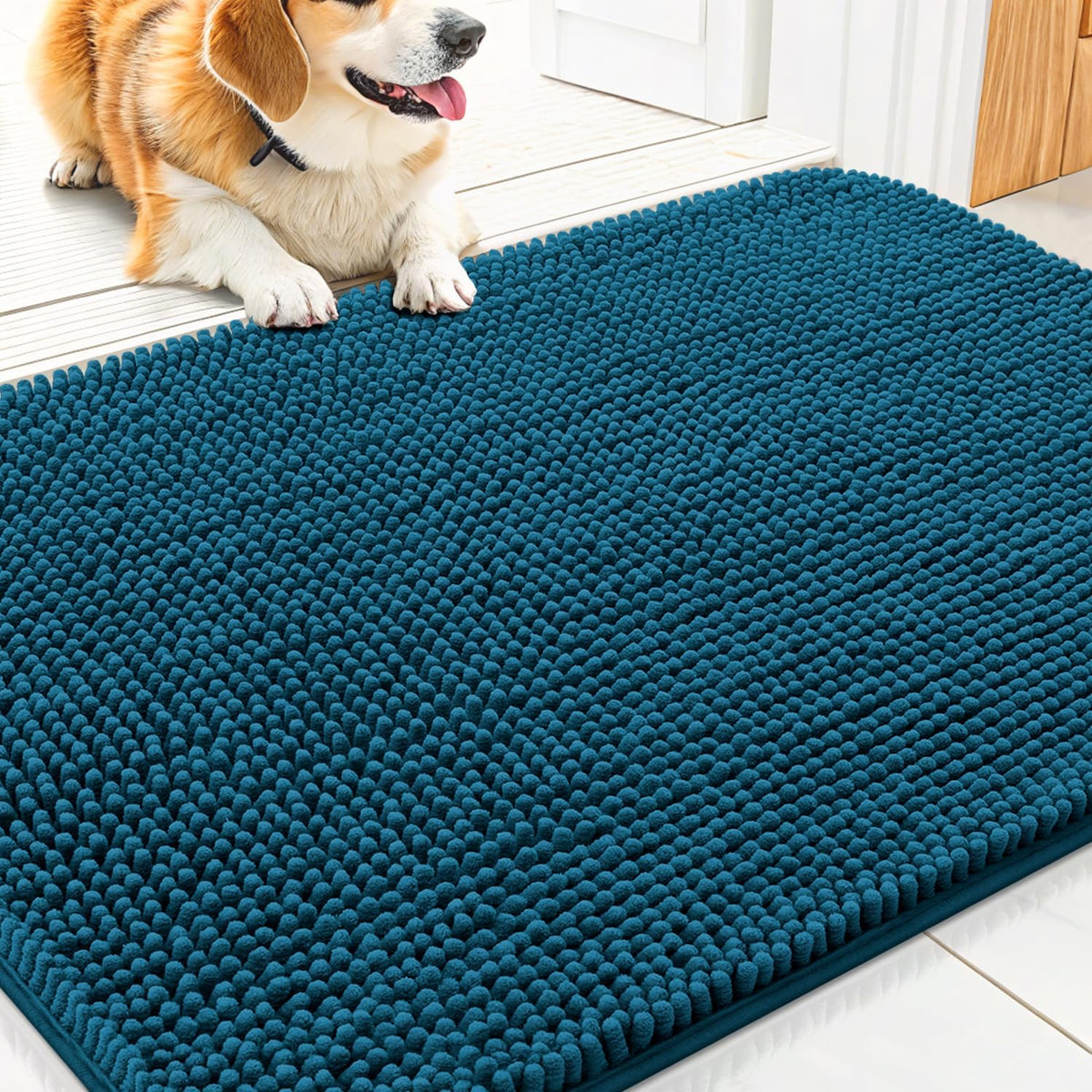 Smiry Dog Door Mat for Muddy Paws 30x20, Absorbs Moisture and Dirt Doormat, Non-Slip Washable Quick Dry Chenille Front Door Mat Indoor Entrance, Entryway Carpet for Inside Floor, Atlantic Blue