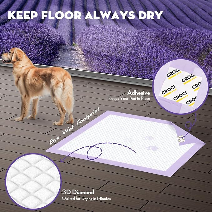 CROCI XXL Puppy Pads with Adhesive Tabs Lavender Scented 36x36in 30Ct | Super Absorbent Dog Pads Holds Up to 11 Cups of Urine, 6-Layers, Quick-Dry Surface, Leak-Proof, Disposable
