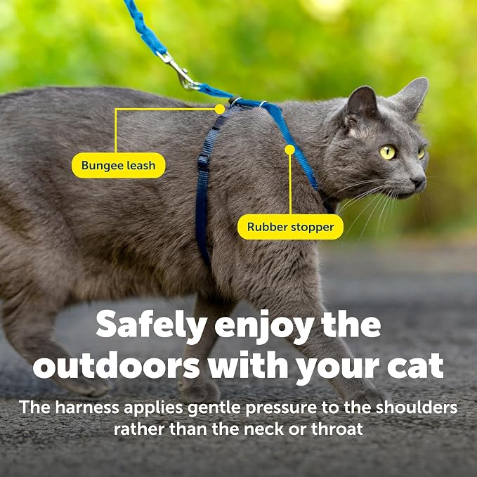 PetSafe Come with Me Kitty Harness and Bungee Cat Leash, Royal Blue, Small | Adjustable 2-Point Fit Applies Gentle Pressure to Shoulders, Not Neck, for Kittens and Small Cats with 9 in - 11 in Girth