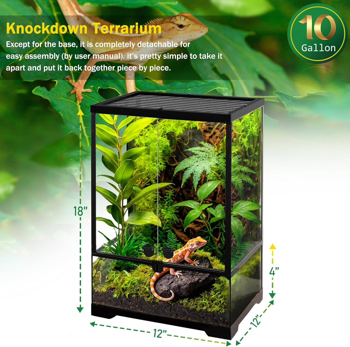 10 Gallon Professional Glass Terrarium 12"x12"x18" Durable Reptile Habitat Tank with Heat Resistant Aluminum Alloy Frame, Dual Front Swinging Doors for no Jam by Sand and Other Debris