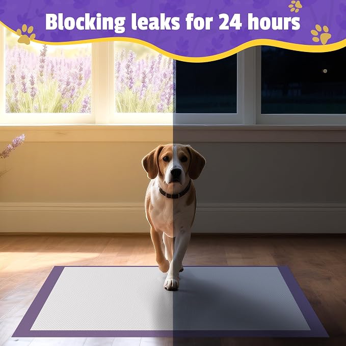 Boscute Lavender Scented Thicken 6 Layers Heavy Absorbent 30"x36" Pet Training Dog Pee Pads, Extra Large Polymer Leak-Proof Quick Dry Puppy Pee Pads, Disposable Pee Pads for Dogs Cats Rabbit 45Counts | Heavy Absorbent up to 7 Cups, Quick Dry, for Dogs ...
