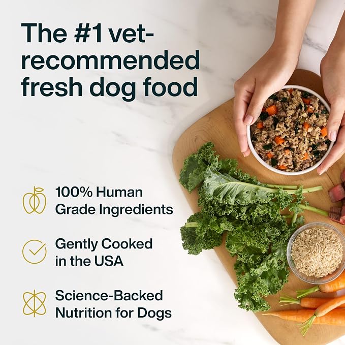 JustFoodForDogs JustFresh Wet Dog Food, Fresh Pet Meals and Toppers with No Preservatives, Resealable Package, Human Grade, Home-Cooked Beef & Chicken, 12 oz - 14 Pack