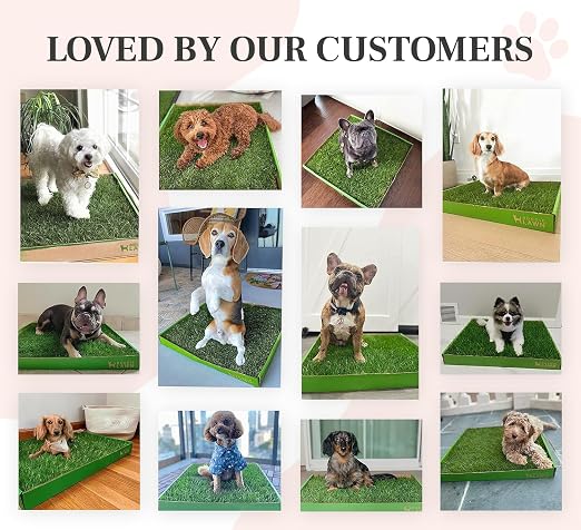 DoggieLawn Real Grass Dog Pee Pads with Tray - Large Dog Potty Pad 24x24 | No-cleaning, odor-reducing puppy potty training pad for housebreaking, indoor or outdoor use, real grass, replace when needed