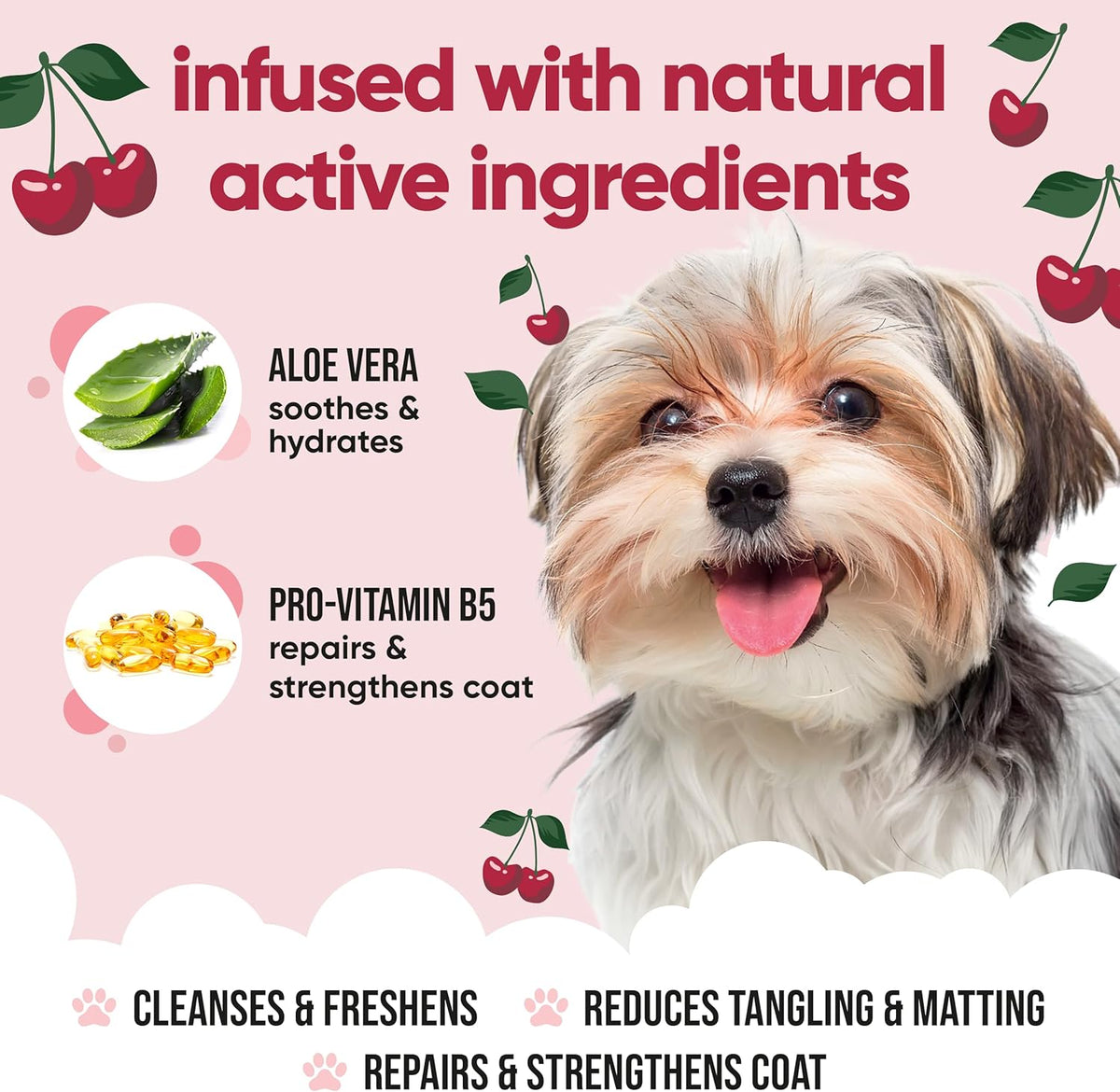 Black Cherry Dog Shampoo by Buddycare | Deep Cleansing Shampoo for Dogs | Black Cherry Scented | with Aloe Vera and Pro Vitamin B5 (50.72oz)