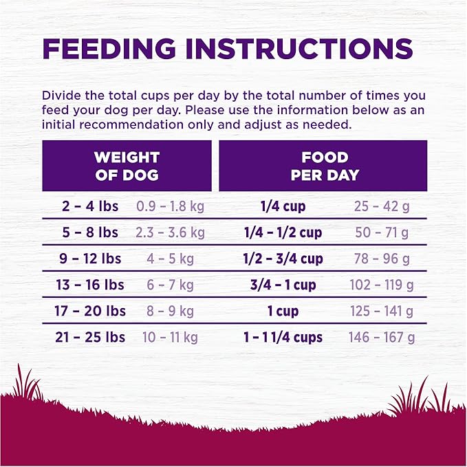 Wellness Complete Health Senior Dry Dog Food, Small Breed, Wholesome Grains, Natural, Age Advantage Turkey & Peas Recipe, (4-Pound Bag)