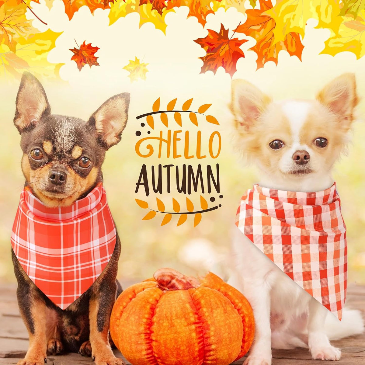 Abbylike 50 Pcs Fall Plaid Dog Bandanas Bulk Thanksgiving Bandanas for Dogs Triangle Kerchief Bib Scarf for Pets Autumn Costume Photo Props Accessories Pet Shops, 25 Styles (19.7 x 13.8 x 13.8)