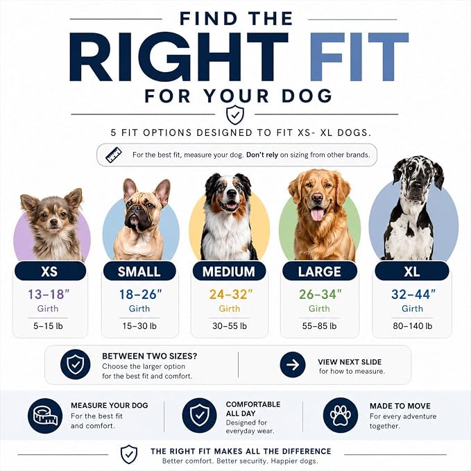 ShawnCo Essential Dog Harness, No-Pull Pet Vest (Freckle's Garden,XL) | 3 Leash Clips, Easy On, No-Choke, Reflective, Adjustable Fit, Padded Comfort, Control Handle, For Small, Medium & Large Dogs
