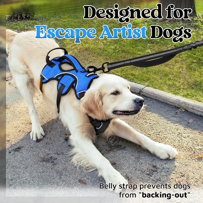 rabbitgoo Escape Proof Dog Harness for Large, No Pull with Lift Handle | No Escape, Full Soft Padded, Reflective Adjustable Vest, Leash Clip for Walking Hiking Training, Blue, Large
