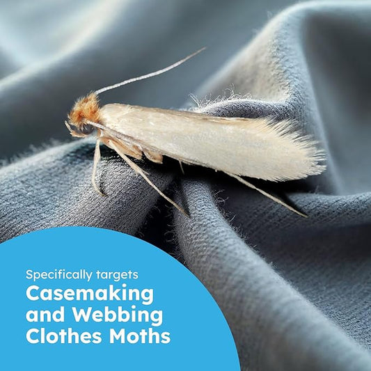 BugMD Clothes & Pantry Moth Traps – Sticky Glue Pheromone-Based Repellent