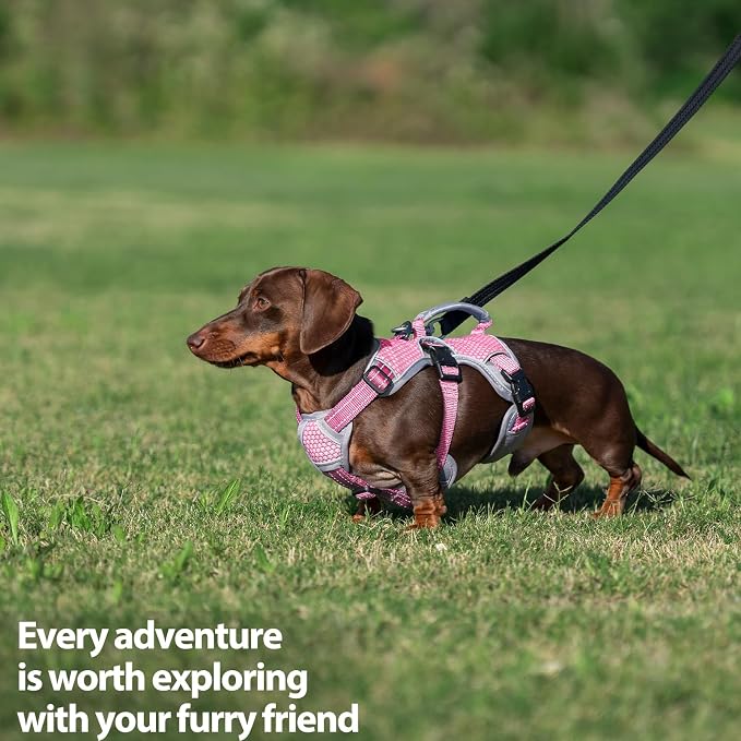 Escape Proof Dog Harness, Dachshund Harness, Reflective Dog Harness with Handle, Durable,Adjustable Vest for Small Medium Large Dogs Walking, Training, and Running Gear (Pink,L)