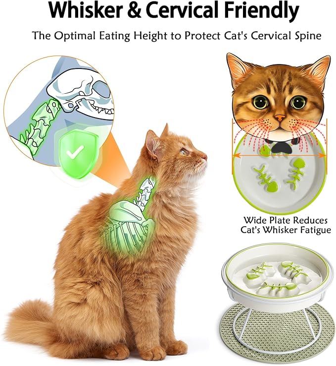 Ceramic Elevated Slow Feeder Cat Bowl, Anti Vomit, Removable Dish, Green | Removable Ceramic Bowl Elevated Anti Vomit Whisker-Friendly Wet & Dry Food Green Glazed Finish