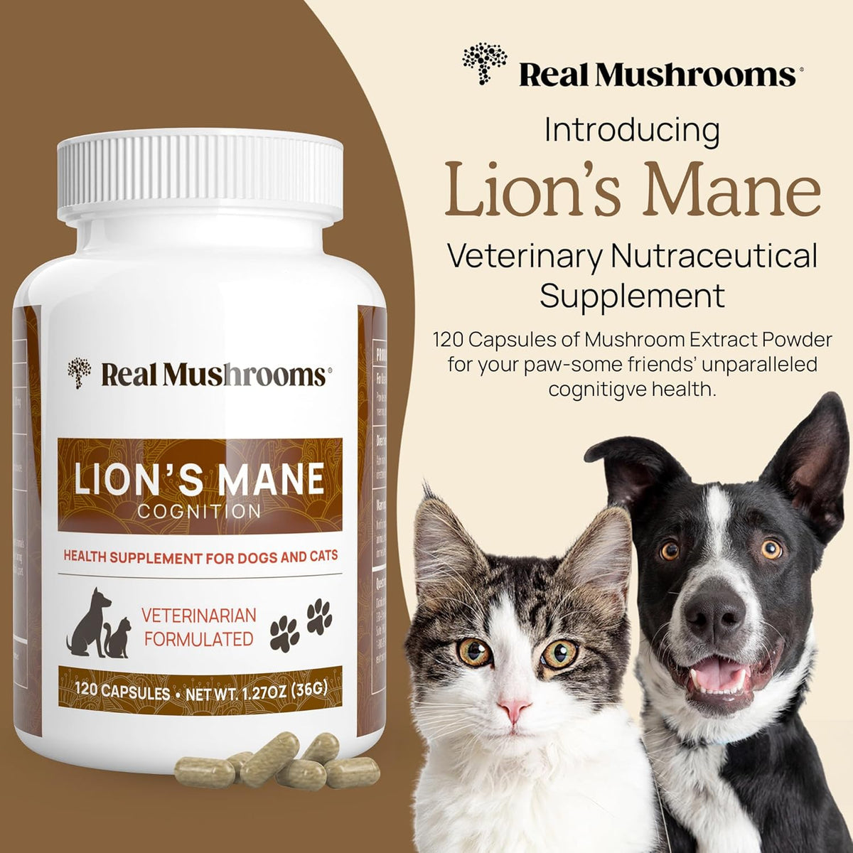 Real Mushrooms Lion’s Mane Pet Mushroom Supplement – Pet Wellbeing Capsules – for Cat & Dog Supplement & Vitamins – Support Mindful Routines – Organic, Vegan, Non-GMO, 120 Count