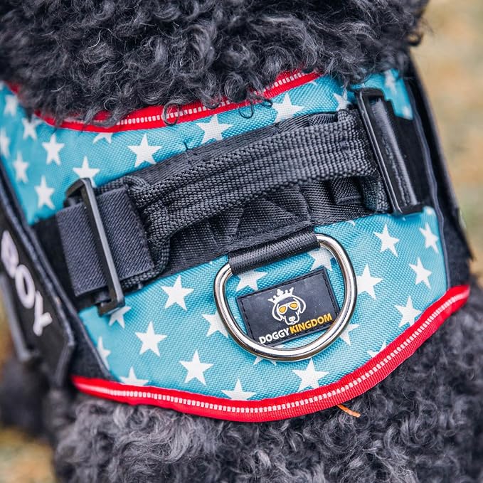 Personalized Dog Harness with Custom Name Patches, Adjustable Reflective No Choke Dog Vest with Handle for Medium Sized Dog, USA, M