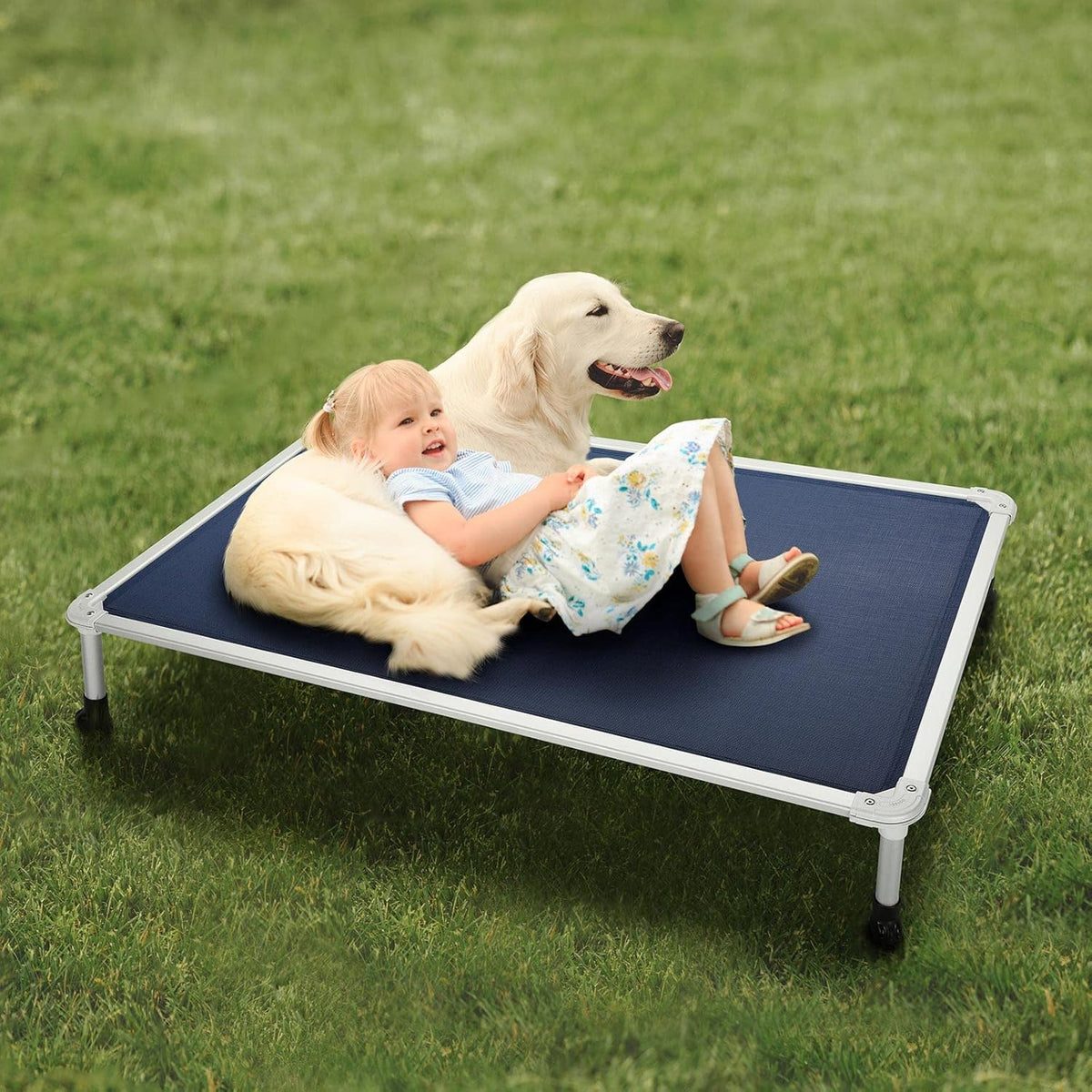 Veehoo Chew Proof Elevated Dog Bed. Chosen for real quality, not just packaging.