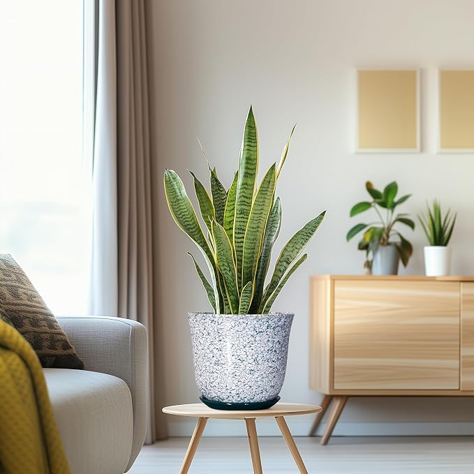 Ceramic Pots for Plants - 8 Inch Plant Pot for Indoor Outdoor, Round Flower Pot with Drainage Hole and Saucer, Decorative Planters, Modern Planter, Patio Decor, House Warming Gift, Green