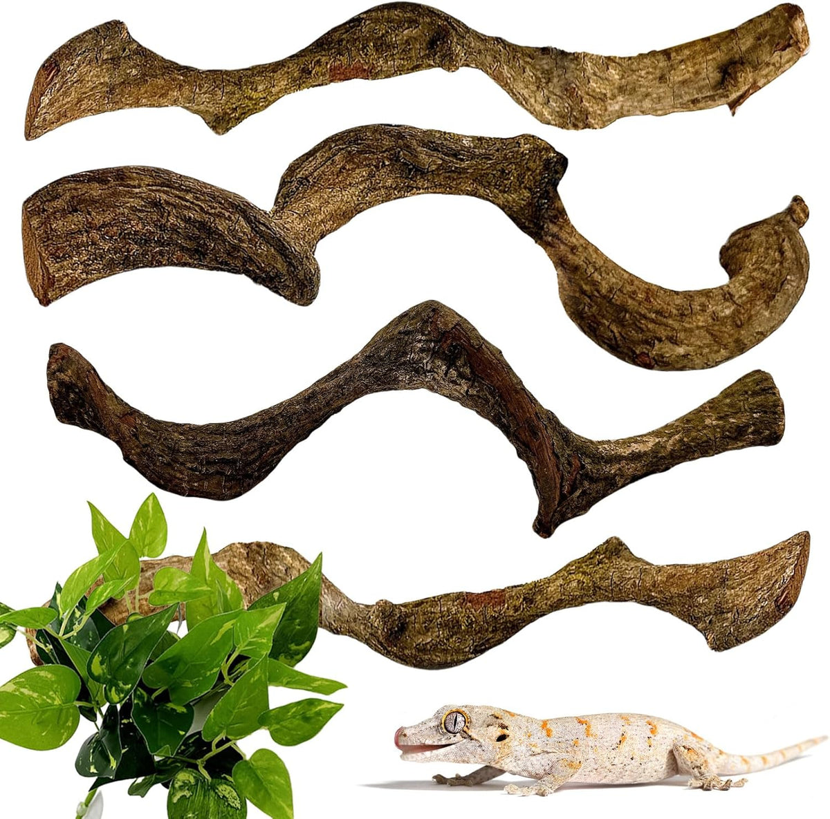 BNOSDM 4Pcs Reptile Climbing Branches Decor,Snake Climbing Branch,Gecko Climb Wood,Lizard Forest Branch,Tank Habitat Tree Trunk Decorations for Bearded Dragons,Chameleons,Spider,Frogs (S)