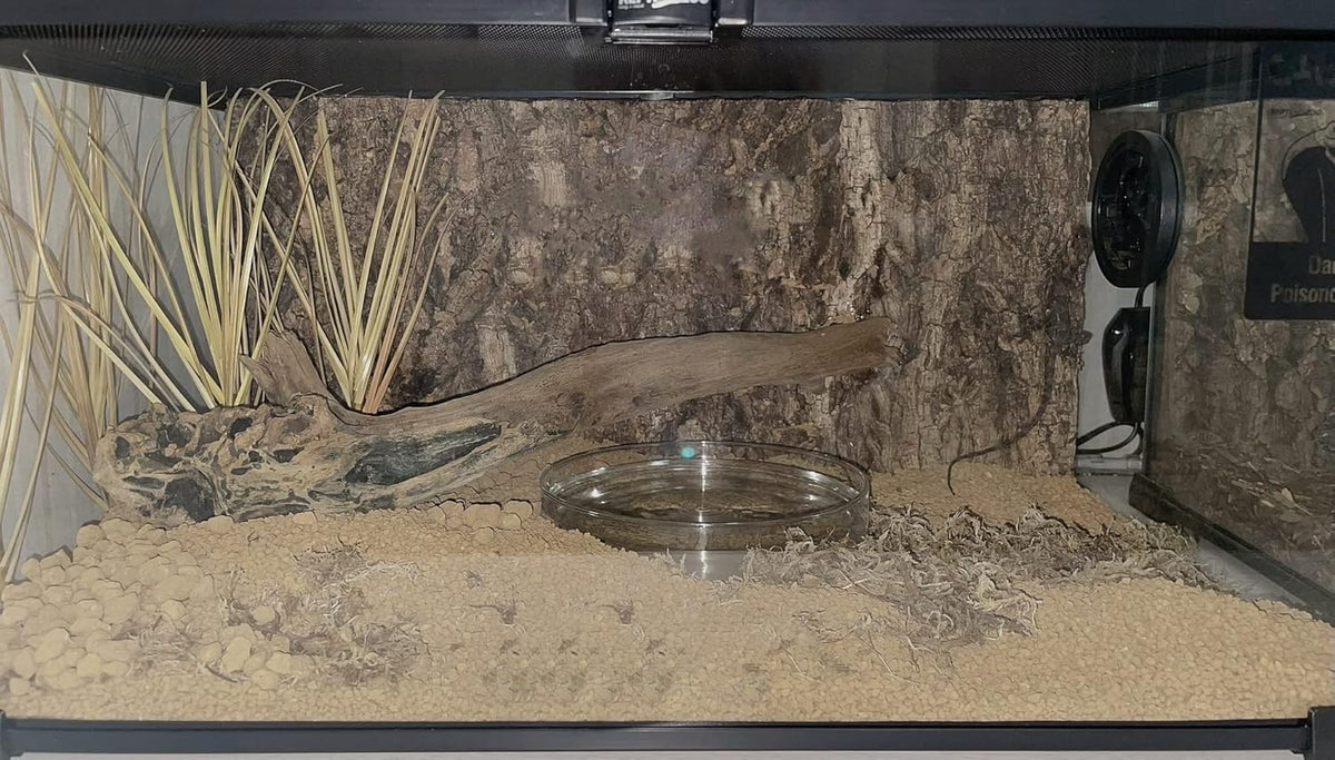 Fake Desert Dry Grass, Reptile Plants for Terrarium, Bearded Dragon Tank Accessories Habitat Decor fit Crested Gecko Leopard Lizard Chameleon Ball Python Snake