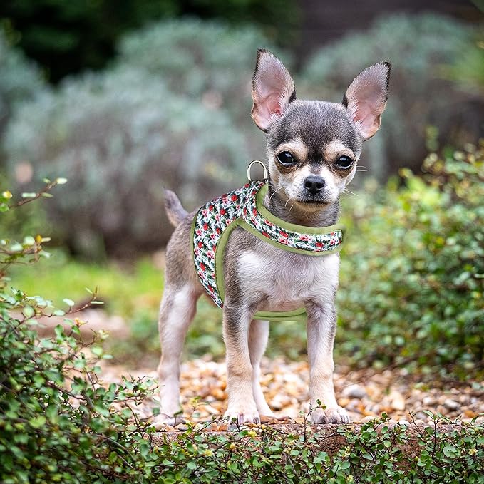 Mile High Life Dog Harness, Air Mesh Floral Vest Harness for 20 lbs Small Dogs & Cats, Easy Get on Adjustable Easy Closures Both Neck and Chest(Wild Rose, XS Chest 14"-16")