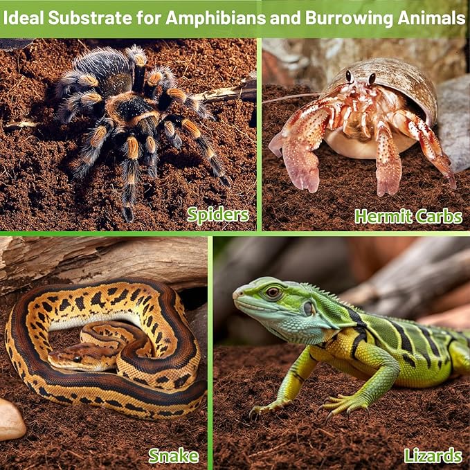Riare 1 Pack Natural Coconut Fiber Substrate for Reptile- Premium Compressed Coconut Husk Terrarium Bedding for Reptile, Tortoise, Frogs, Snakes Hermit Crabs, Burrowing Animals