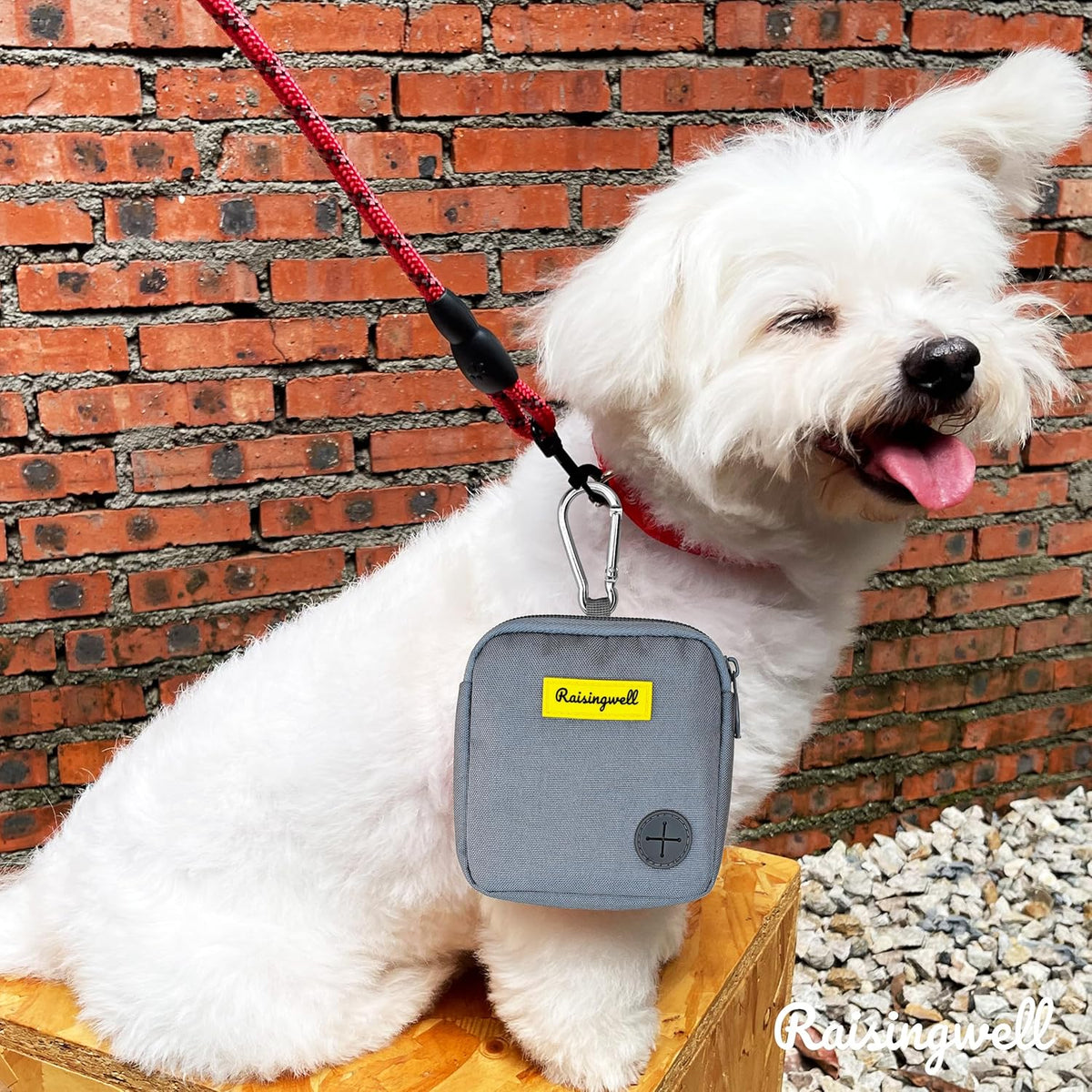 Dog Treat Pouch for Pet Walking and Training with Clicker Poop Bags Small Fanny Zipper Pack Holder for Puppy Snack Dispenser Kit for Leash and Outdoor Use （Gray）