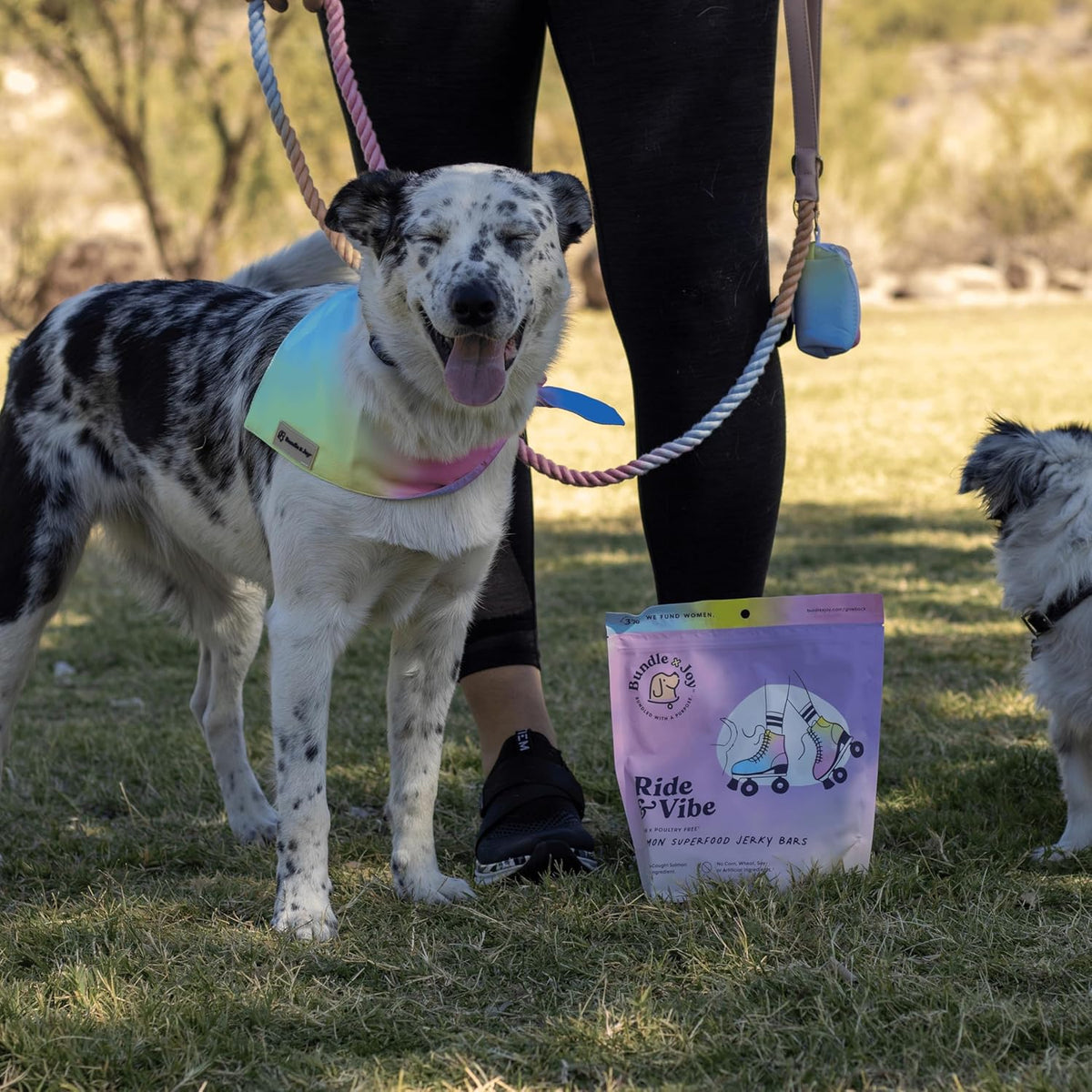 Bundle x Joy Ride & Vibe Dog Treats, Wild Caught Salmon Jerky, Snack Bars, Puppy Training Treats, Natural Superfood, Grain, Corn, Poultry & Soy Free, 5oz