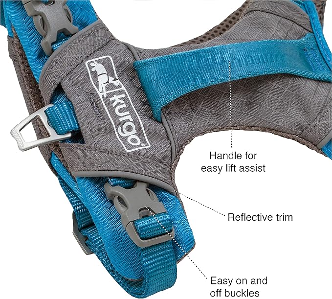 Kurgo Journey Air Dog Harness, Orange, Large | Padded Chest, Ripstop Outer & Breathable Mesh, Back Assist Handle, Rust-Free Aluminum Hardware, Reflective Trim