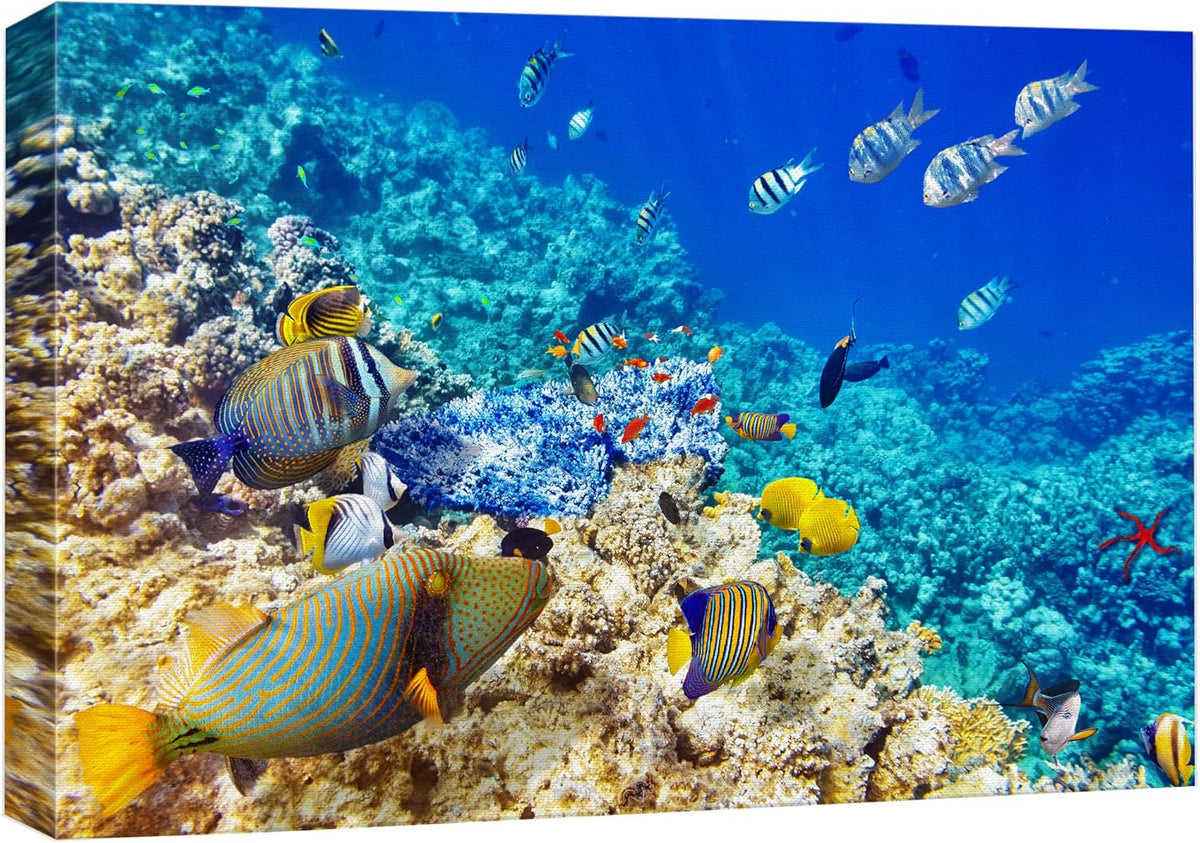 wall26 Canvas Print Wall Art Underwater Neon Blue Teal Ocean Water Fish Nature Animals Photography Realism Rustic Scenic Landscape Wilderness Earth for Living Room, Bedroom, Office - 24"x36"