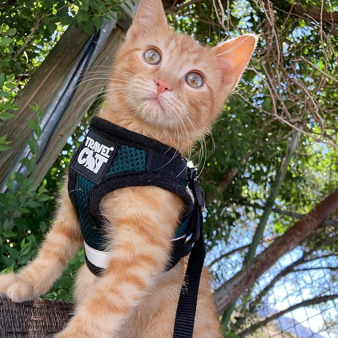 Travel Cat The Emerald Explorer Limited Edition Green Harness and Leash Set - Adjustable Fit Mesh Cat Harness with Reflective Strap - Escape Proof Harness for Cats, Kitten (Medium)