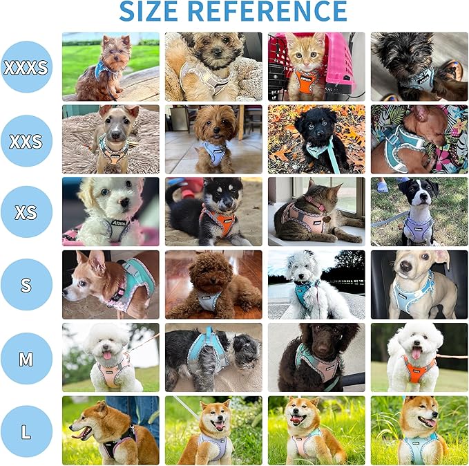 AIITLE Small Dog Harness - Breathable Double-Layer Jacquard No-Choke Vest, Durable Anti-Tear Fabric with Reflective Trim - Perfect for Running, Parties, Daily Walks (Sage, XS)