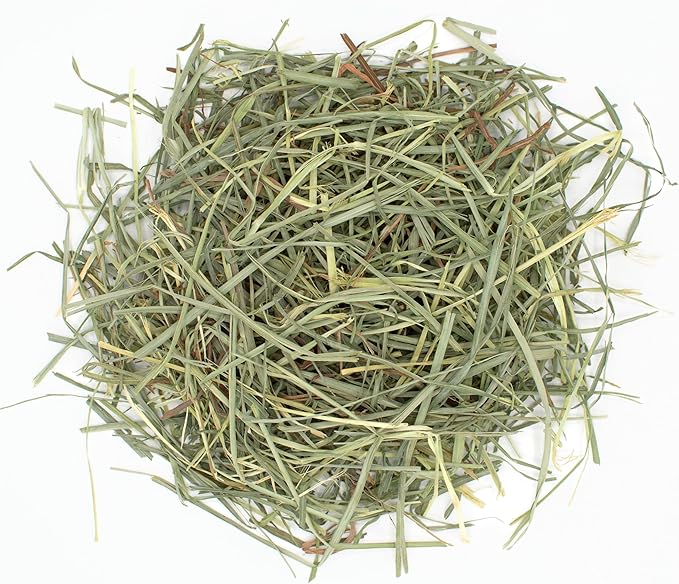 Oxbow Orchard Grass Hay for Small Pets – All-Natural Long Strand Fiber Hay for Rabbits, Guinea Pigs, Chinchillas, and Hamsters – Supports Digestive Health and Enrichment – 40 oz Bag