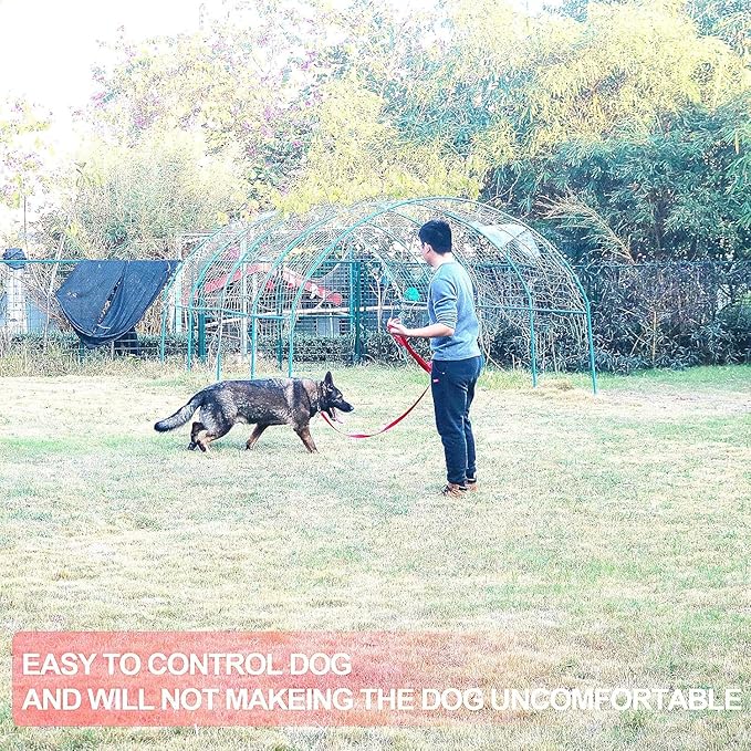 Dog/Puppy Obedience Recall Training Agility Lead - 15ft 20ft 30ft 40ft 50ft Training Leash - Great for Play, Camping, or Backyard (Military Green, 30 Feet)