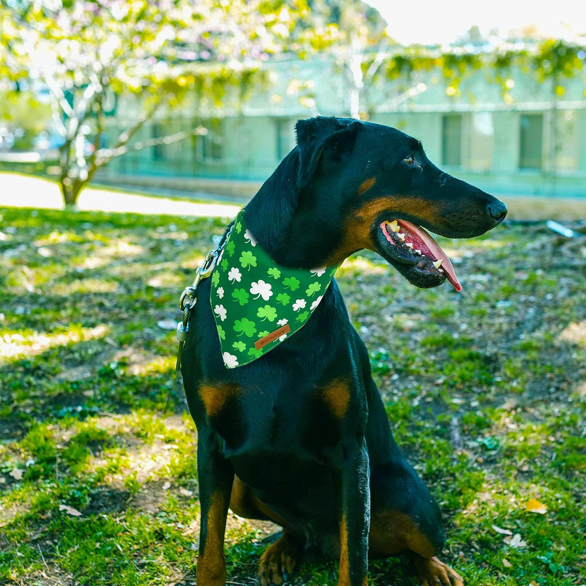 Realeaf St. Patrick's Day Dog Bandanas 2 Pack, Triangle Reversible Pet Scarf for Boys and Girls, Premium Durable Fabric, Holiday Bandana for Medium and Large Dogs (Large)