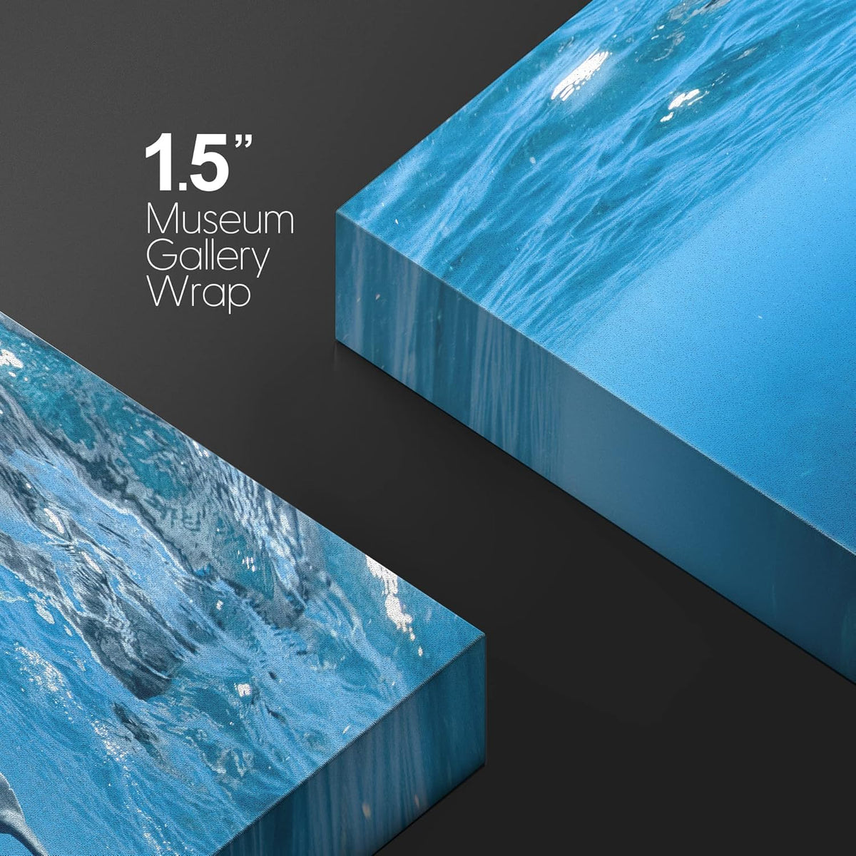 wall26 Canvas Print Wall Art Tropical Ocean Sea Underwater Dolphin Duo Nature Animals Photography Realism Rustic Scenic Landscape Wilderness Earth Colorful for Living Room, Bedroom, Office - 24"x36"
