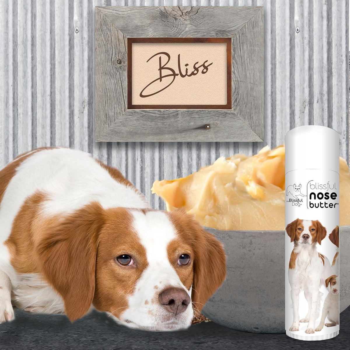 The Blissful Dog Brittany Spaniel Nose Butter for Dry, Cracked Skin, Lick-Safe Dog Nose Balm with Moisturizing Shea Butter, Almond, Olive, and Essential Oils, Pet Supplies, Uncented, 0.50 oz.