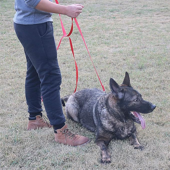 Dog/Puppy Obedience Recall Training Agility Lead - 15ft 20ft 30ft 40ft 50ft Training Leash - Great for Play, Camping, or Backyard - Blue 20ft