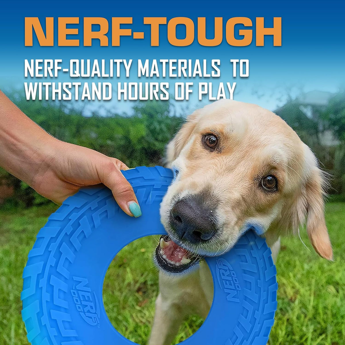 Nerf Dog Tire Flyer Outdoor Dog Toy, 10 Inch Flying Disc Dog Fetch Toy, Rubber Dog Toy for Medium Dogs and Large Dogs, Blue