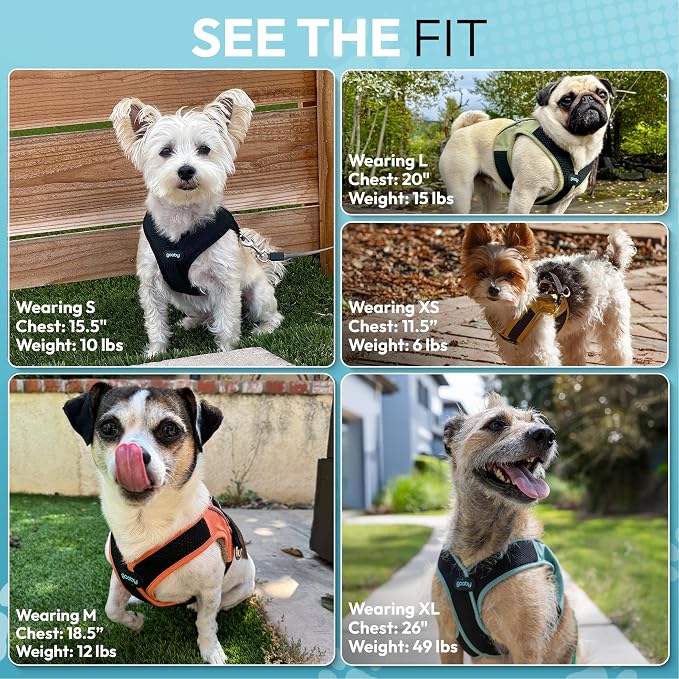 Gooby Escape Free Easy Fit X Step-in Dog Harness, Portland Green, X-Small | Patented escape-free, tightens on back-out; Choke-free X-frame + V-neck; Quick-release buckle; Reflective trim
