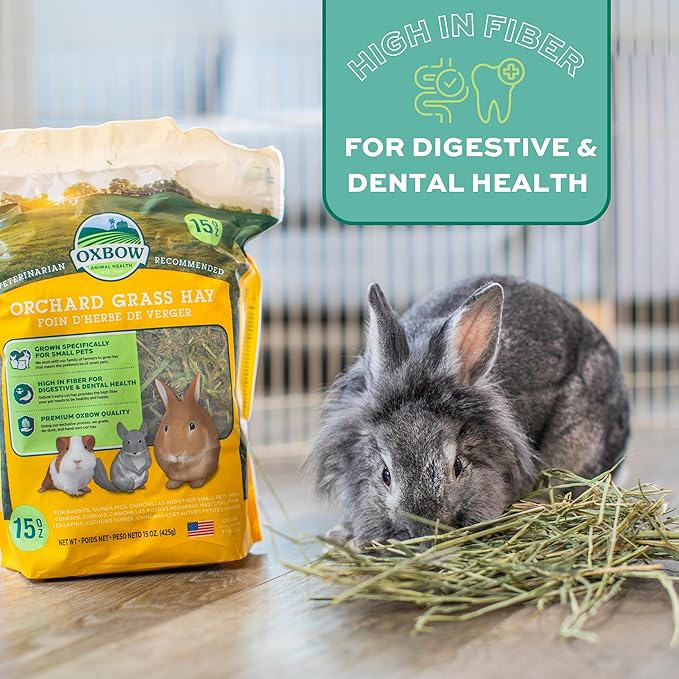 Oxbow Orchard Grass Hay for Small Pets – All-Natural Long Strand Fiber Hay for Rabbits, Guinea Pigs, Chinchillas, and Hamsters – Supports Digestive Health and Enrichment – 40 oz Bag