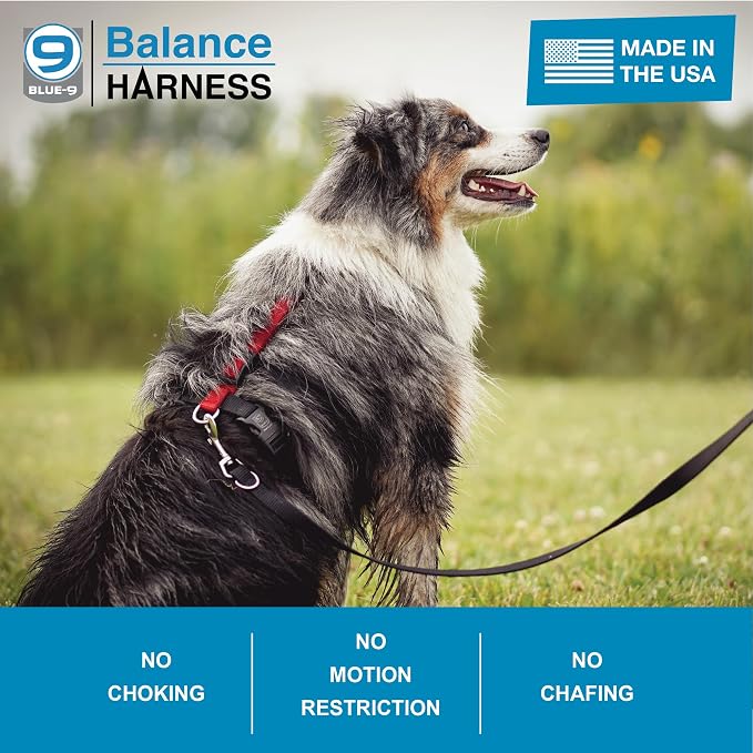 Blue-9 Buckle-Neck Balance Harness, Fully Customizable Fit No-Pull Harness, Ideal for Dog Training and Obedience, Made in The USA, Red, Medium/Large