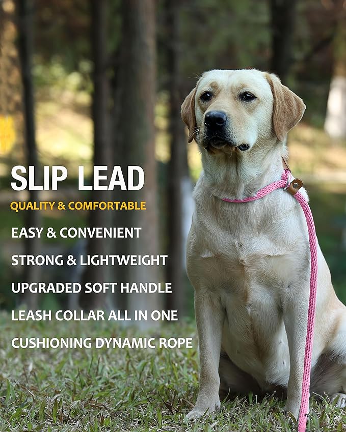 lynxking 6 FT Dog Leash Slip Lead 2 Pack Strong Heavy Duty Braided Dog Training Leash No Pull Training Lead Leashes for Medium Large and Small Dogs