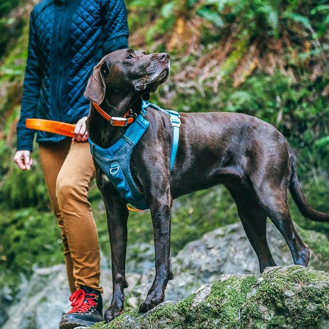 Kurgo Journey Air Dog Harness, Red, Large | Padded Chest, Ripstop Outer & Breathable Mesh, Back Assist Handle, Rust-Free Aluminum Hardware, Reflective Trim
