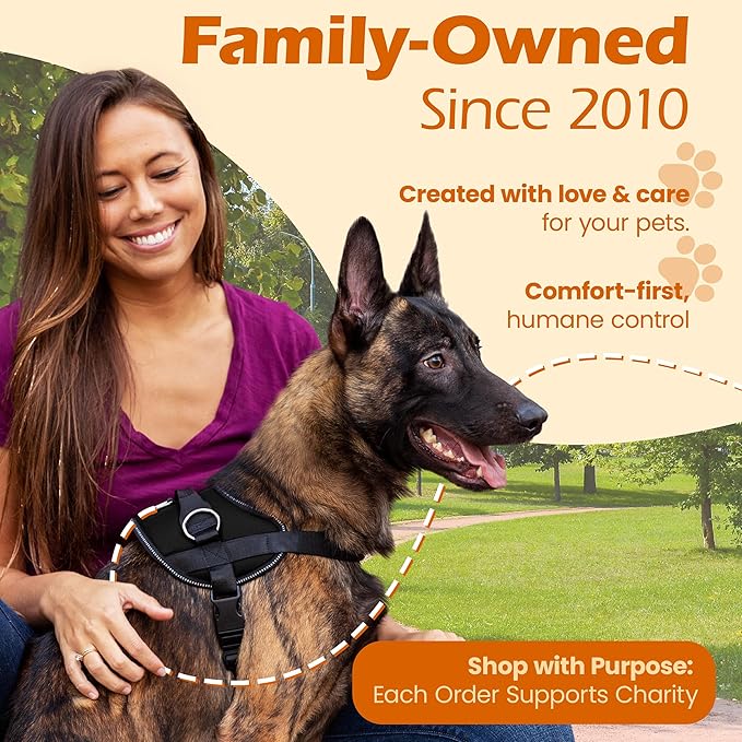 Bark Appeal Black No-Pull Dog Harness for Small to Medium Sized Pets – Adjustable, Reflective Vest with 3 Leash Clips for Added Control, Easy Walks & Training – Medium