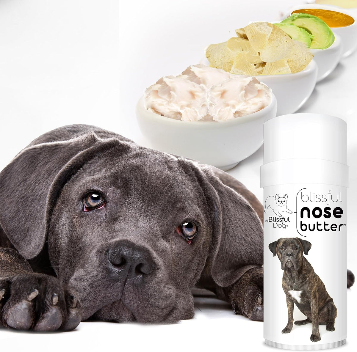 The Blissful Dog Cane Corso Nose Butter, Versatile Dog Nose Balm for Dry Nose, Handcrafted Nose Moisturizer, Easy-to-Apply Dog Essentials, Unscented, 2 oz.