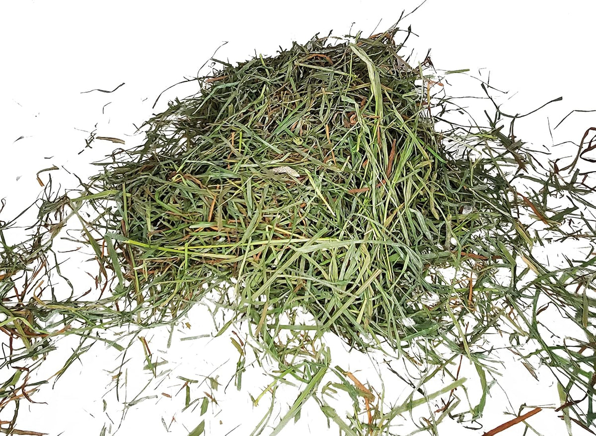 High Desert 2nd Cutting Timothy Grass Hay for Guinea Pigs, Rabbits, and More Small Animal Pets (16 lb)