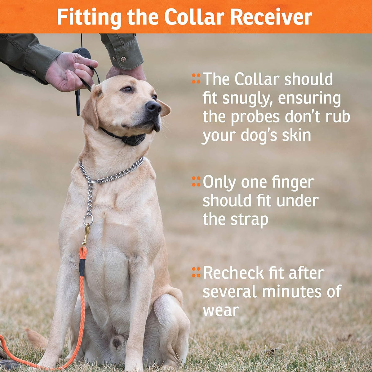 SportDOG Brand SportHunter 825X Dog Training Static Collar with Remote, 1/2 Mile Range Waterproof Dog E-Collar, Submersible up to 25 Ft, Rechargeable Training Device with Static, Vibrate and Tone
