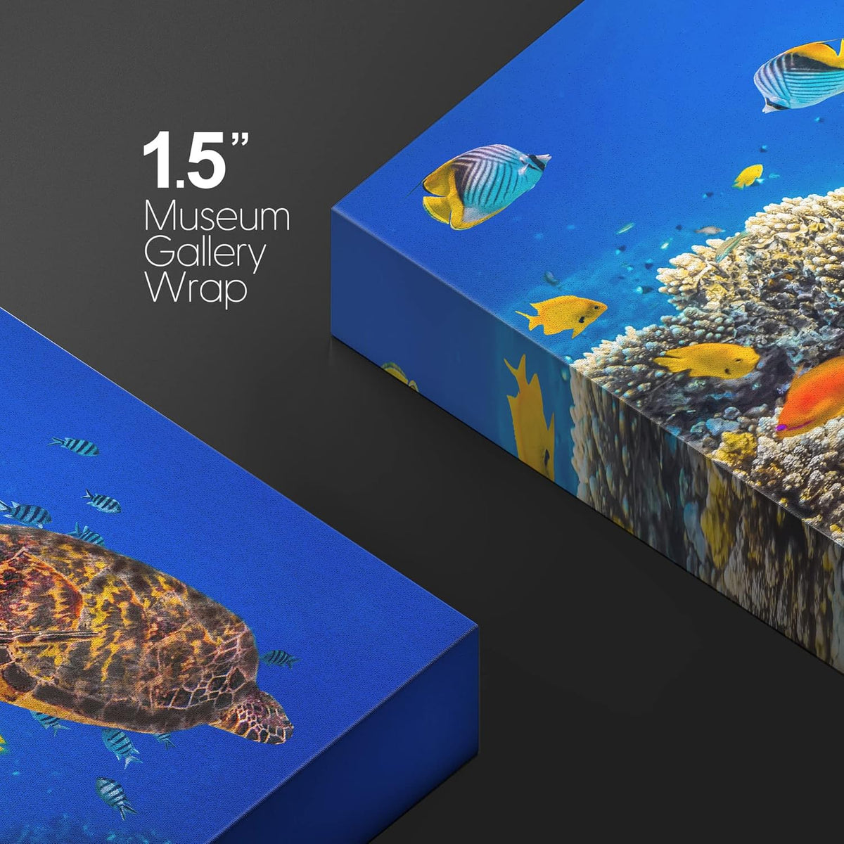 wall26 Canvas Print Wall Art Neon Coral Reef Blue Hippo Tang Fish Turtle Nature Animals Photography Realism Rustic Scenic Landscape Wilderness Colorful for Living Room, Bedroom, Office - 32"x48"