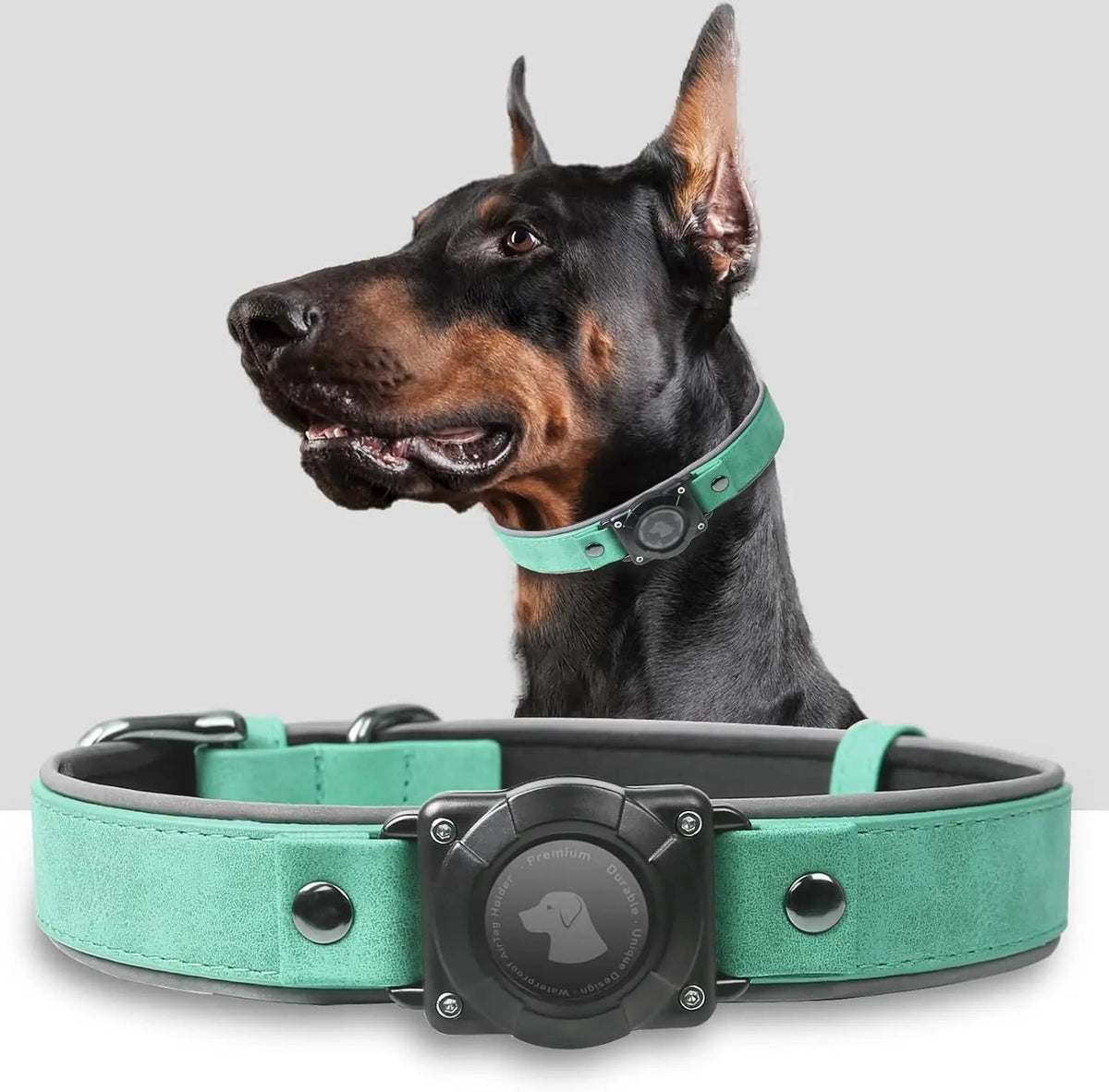 Leather AirTag Dog Collar with Built-In Holder, Reflective Adjustable Design