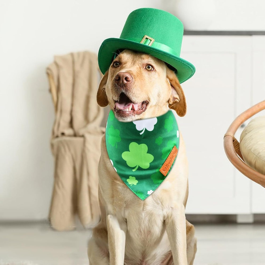 2 Pieces St. Patrick's Day Dog Bandanas, Double-Sided Reversible Triangle Scarf