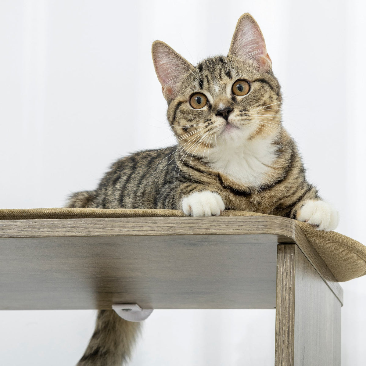 65" Corner Modern Cat Tree Tall for Climbing, Large Multilevel Cat Tower with Scratching Posts, Small-Fit Kitten Tower with Sisal, Cream White