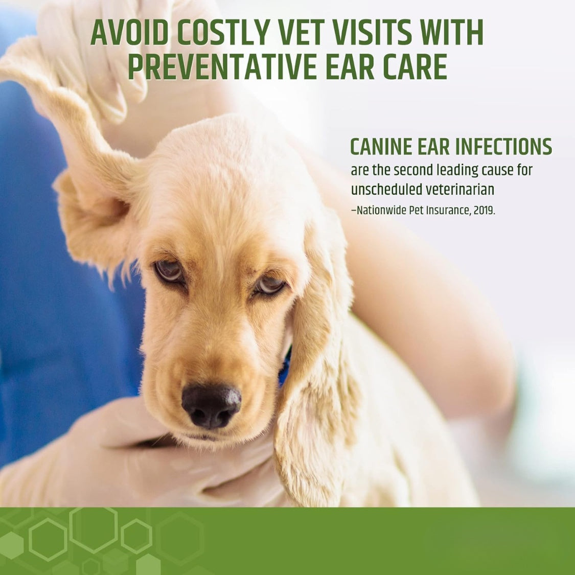 Dog Ear Cleaning Wipes